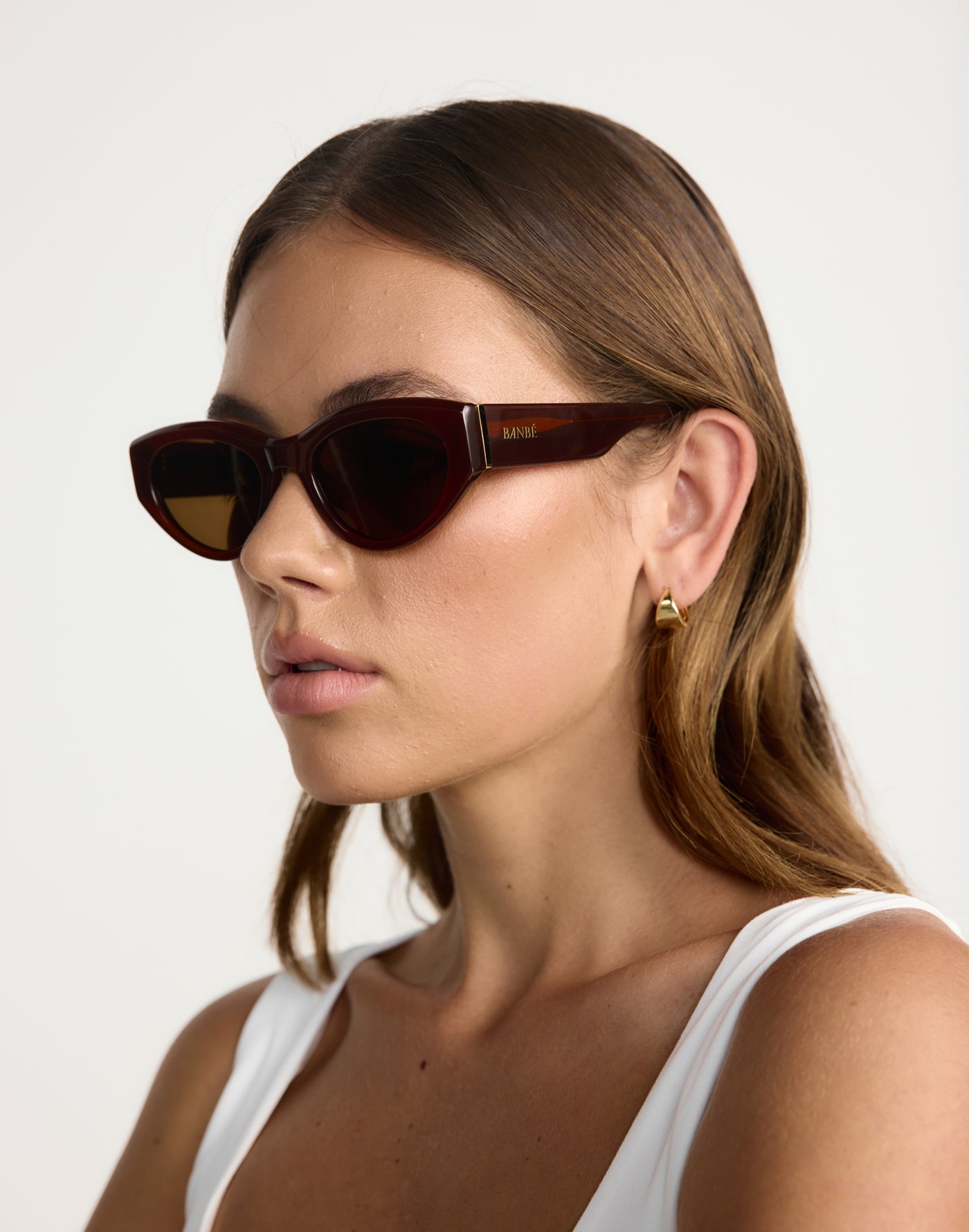 The Alba Sunglasses (Cinnamon/Cinnamon) - By Banbe - Brown Acetate Frame Brown Tint Sunglasses - Women's Accessories - Charcoal Clothing