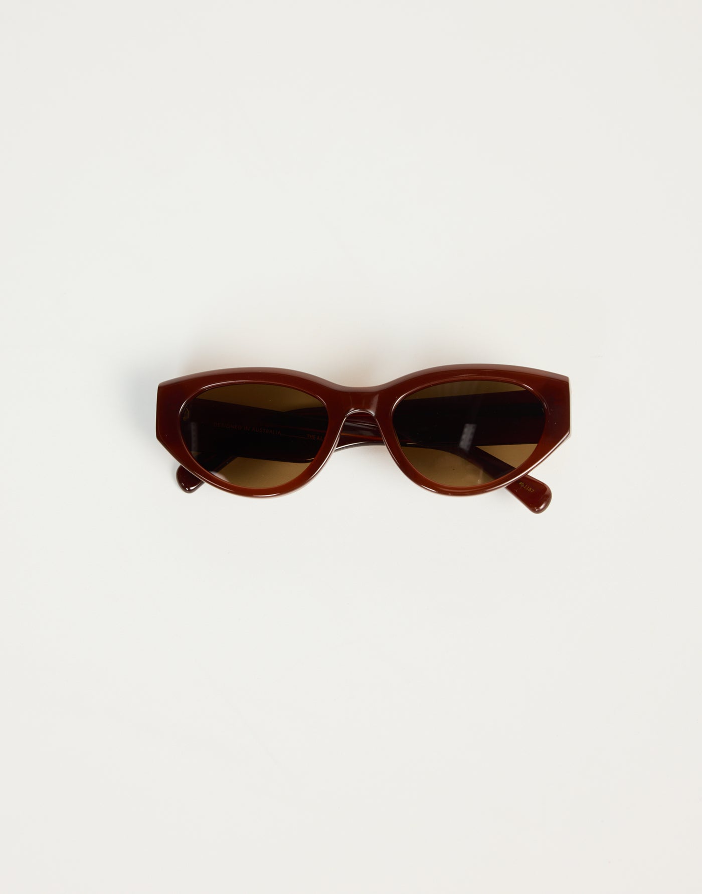 The Alba Sunglasses (Cinnamon/Cinnamon) - By Banbe - Brown Acetate Frame Brown Tint Sunglasses - Women's Accessories - Charcoal Clothing