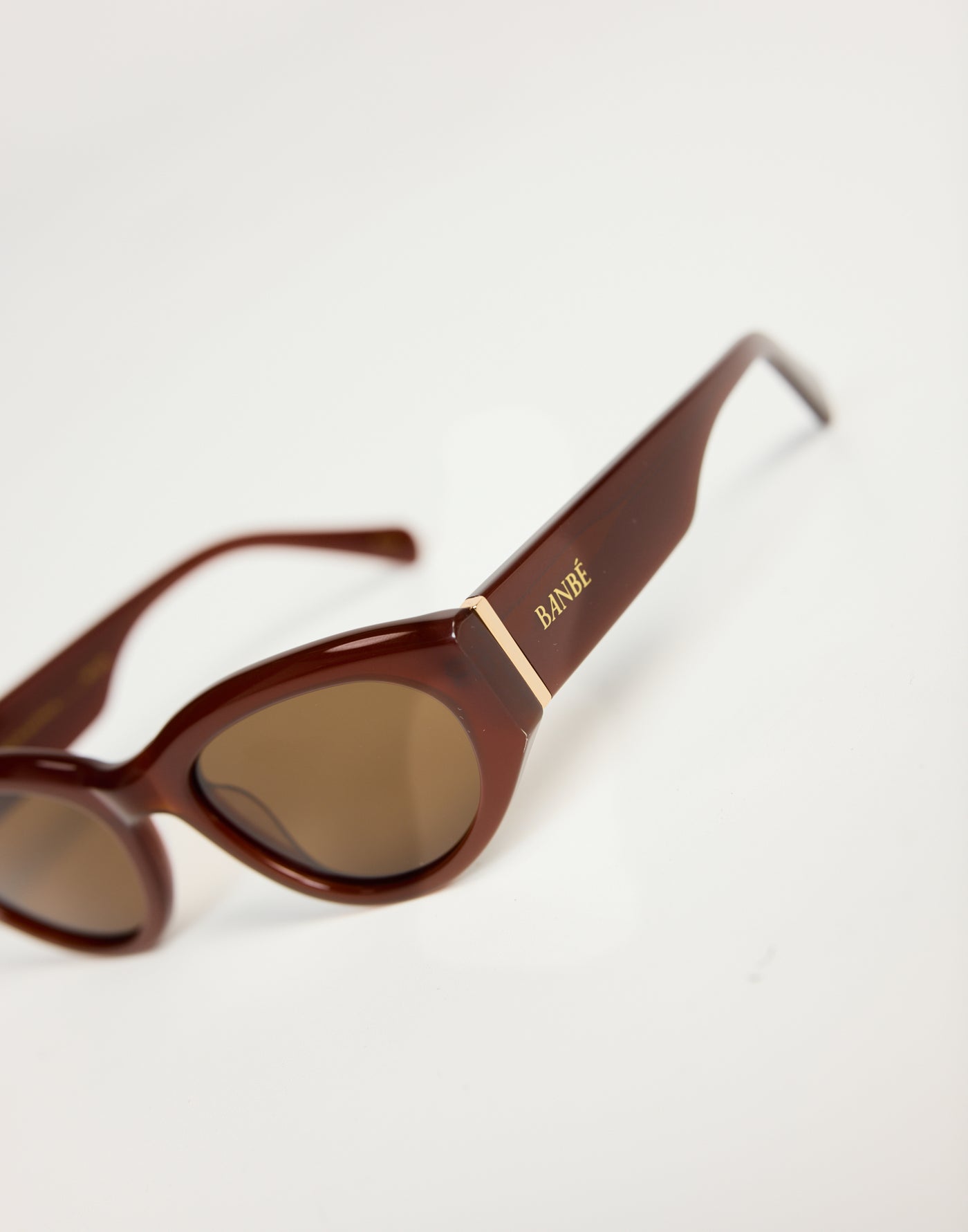 The Alba Sunglasses (Cinnamon/Cinnamon) - By Banbe - Brown Acetate Frame Brown Tint Sunglasses - Women's Accessories - Charcoal Clothing